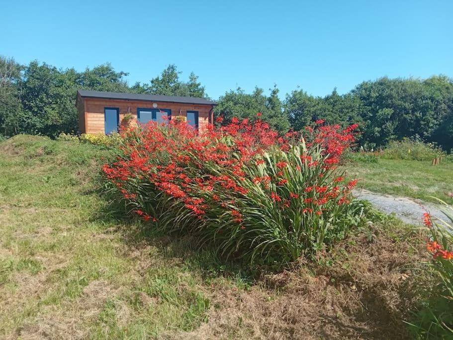 Ceaser'S Cabin Is A Cosy 1 Bedroom Cabin ลาฮินช์ ภายนอก รูปภาพ